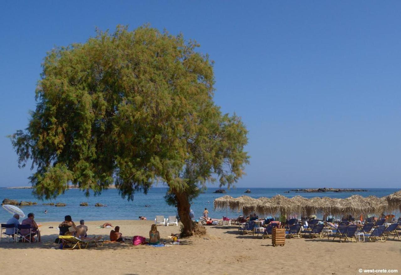 Villa Katerina Χανιά Εξωτερικό φωτογραφία